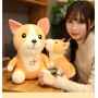 ΛΟΥΤΡΙΝΟΣ ΣΚΥΛΟΣ ΚΟΡΓΚΙ/CORGI 50/55CM