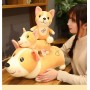 ΛΟΥΤΡΙΝΟΣ ΣΚΥΛΟΣ ΚΟΡΓΚΙ/CORGI 50/55CM