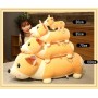 ΛΟΥΤΡΙΝΟΣ ΣΚΥΛΟΣ ΚΟΡΓΚΙ/CORGI 50/55CM