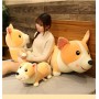 ΛΟΥΤΡΙΝΟΣ ΣΚΥΛΟΣ ΚΟΡΓΚΙ/CORGI 50/55CM