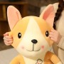 ΛΟΥΤΡΙΝΟΣ ΣΚΥΛΟΣ ΚΟΡΓΚΙ/CORGI 50/55CM