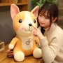 ΛΟΥΤΡΙΝΟΣ ΣΚΥΛΟΣ ΚΟΡΓΚΙ/CORGI 50/55CM