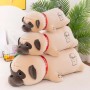 ΛΟΥΤΡΙΝΟΣ ΤΕΜΠΕΛΗΣ ΣΚΥΛΟΣ PUG 75CM