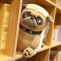 ΛΟΥΤΡΙΝΟΣ ΣΚΥΛΟΣ PUG 20CM