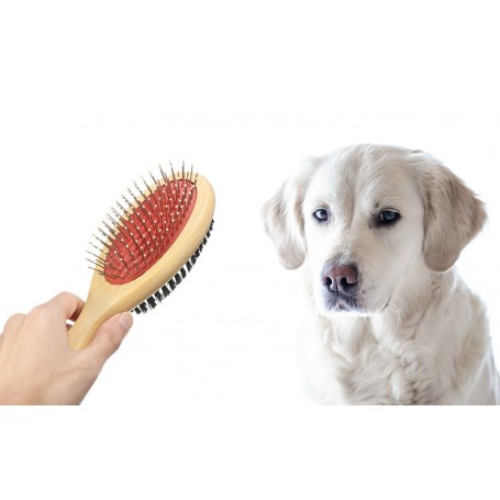 Βούρτσα περιποίησης διπλής όψεως για κατοικίδια