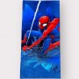 ΠΕΤΣΕΤΑ ΘΑΛΑΣΣΗΣ SPIDERMAN (OEM)