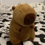 ΛΟΥΤΡΙΝΟΣ CAPYBARA 25CM