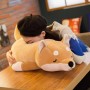 ΛΟΥΤΡΙΝΟΣ ΣΚΥΛΟΣ SHIBA INU 55CM