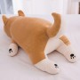 ΛΟΥΤΡΙΝΟΣ ΣΚΥΛΟΣ SHIBA INU 55CM