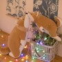 ΛΟΥΤΡΙΝΟΣ ΣΚΥΛΟΣ SHIBA INU 55CM