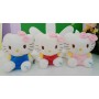 ΛΟΥΤΡΙΝΕΣ ΤΣΑΝΤΕΣ ΠΛΑΤΗΣ HELLO KITTY 30CM (OEM)