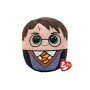 ΛΟΥΤΡΙΝΟΣ HARRY POTTER TY 25CM