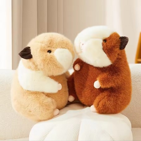 ΛΟΥΤΡΙΝΟ ΧΑΜΣΤΕΡ ΤΣΙΝΤΣΙΛΑ 25CM