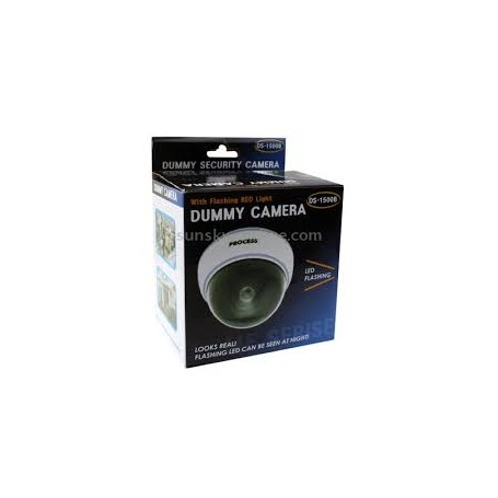 Dome Dummy Security Camera