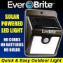 Ever Brite LED Light