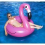 ΡΟΔΑ FLAMINGO ΣΤΡΩΜΑ ΘΑΛΑΣΣΗΣ ΓΙΓΑΣ