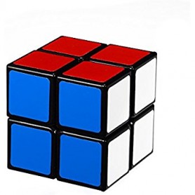 RUBIC CUBE 2X2