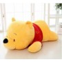 WINNIE THE POOH ΛΟΥΤΡΙΝΟ 40cm