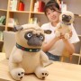 ΛΟΥΤΡΙΝΟΣ ΣΚΥΛΟΣ PUG 30CM