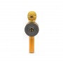 Μικρόφωνο Karaoke – WSTER – WS-668
