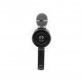 Μικρόφωνο Karaoke – WSTER – WS-668