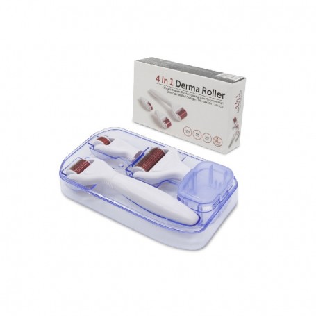 Σετ μεσοθεραπείας προσώπου – 4 σε 1 – Meso Roller – MR-668