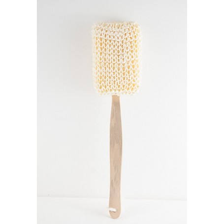 Βούρτσα μπάνιου