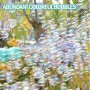 Bubble Gun / Πιστόλι για φούσκες